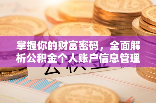 涪城掌握你的财富密码，全面解析公积金个人账户信息管理